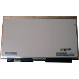 VVX11F009G00 Panasonic Schermo Display per PC Portatile